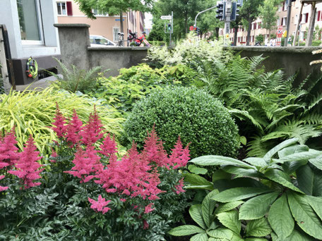 Gartenpflege, Gartenunterhalt, Gartenservice in der Nähe von Basel | Hermann Gartenbau, Reinach (Baselland)