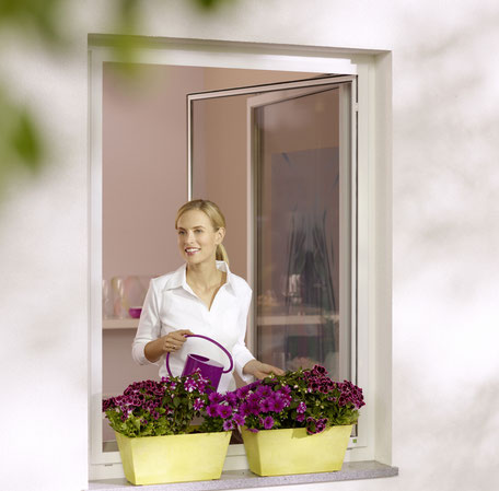 Frau gießt Blumen im geöffneten Fenster mit Drehrahmen als Insektenschutz