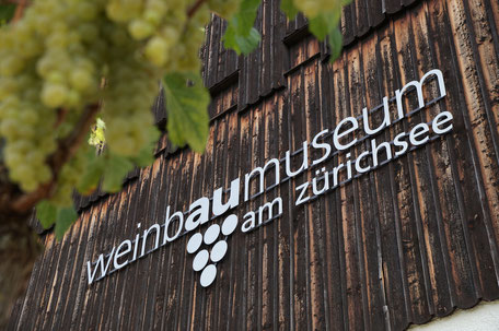 Das Weinbaumuseum am Zürichsee erklärt den Weinanbau und erzählt die Geschichte des Weins am Zürichsee. 