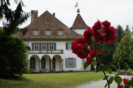 Das Tagungszentrum Schloss Au verzaubert an wunderbarer Lage mit moderner Tagungsinfrastruktur und guter Küche für Seminarteilnehmer.