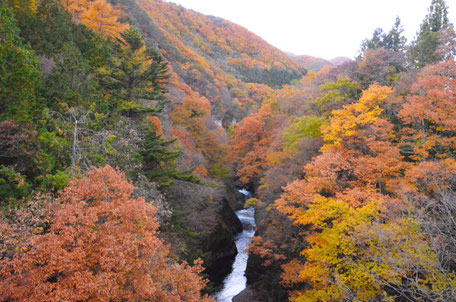 吹割渓谷の紅葉