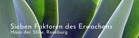 Sieben Faktoren des Erwachens, Vipassana, Schweigeseminar, Retreat, Buddhismus, buddhistische Meditation, Stille, Klarheit, shamatha, Haus der Stille, Roseburg, Metta, Mitgefühl, Achtsamkeit, Inquiry