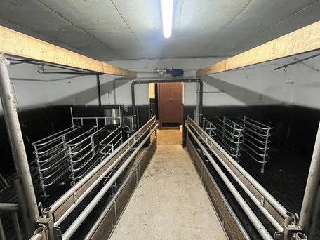 Zwei Stallbereichen, die durch einen Gang voneinander getrennt sind, werden von Kälbertränken Föcker mit nur einem Tränkeautomaten zu füttern verbunden.