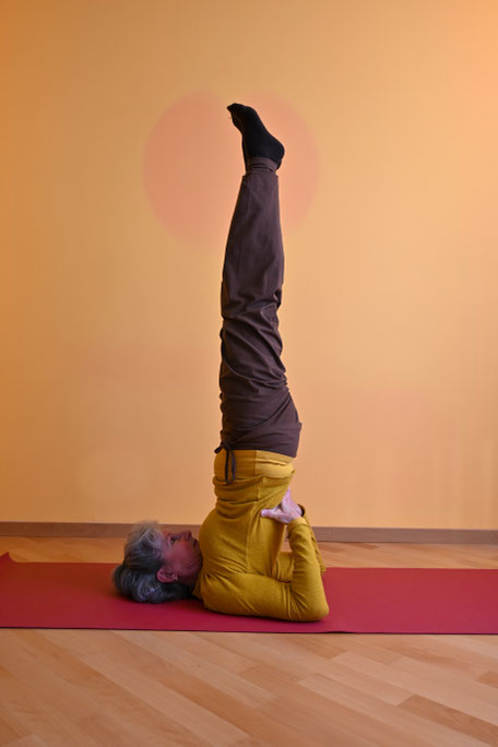 Der Impuls für die schwerelose Aufrichtung in den Schulterstand (sārvangāsana) entspringt in der Brustwirbelsäule auf Herzhöhe und fließt über den entspannten Bauchraum in die Beine hinein. Kopf und Schultern ruhen entspannt am Boden.