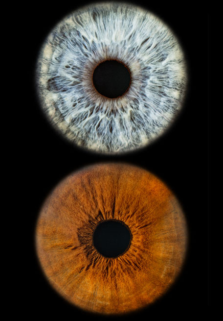 Paarbild Iris-Fotografie Berlin Fotograf Johannes Koch