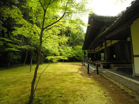 大徳寺高桐院の画像