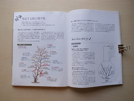 「手入れがわかる雑木図鑑」の剪定の基本とポイント解説
