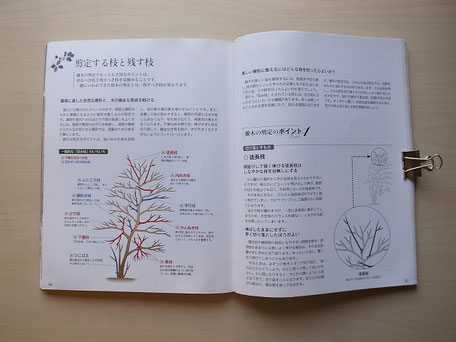 「手入れがわかる雑木図鑑」の剪定の基本とポイント解説