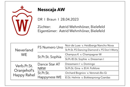 Ninjargo AW Fuchshengst Deutsches Reitpony von Numerus Clausus aus einer St.Pr.St. von Dance Star AT