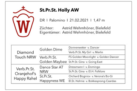 Ninjargo AW Fuchshengst Deutsches Reitpony von Numerus Clausus aus einer St.Pr.St. von Dance Star AT