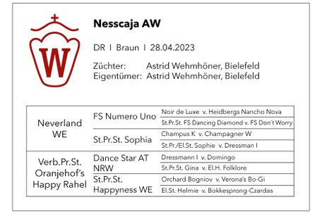 Ninjargo AW Fuchshengst Deutsches Reitpony von Numerus Clausus aus einer St.Pr.St. von Dance Star AT
