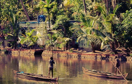 Kerala : les backwaters, ces canaux où l'on circulent en houseboats pour faire une croisière paisible et pleine de charme. Allepey est une oasis de paix et de nature au cours de ce circuit en Inde du sud.