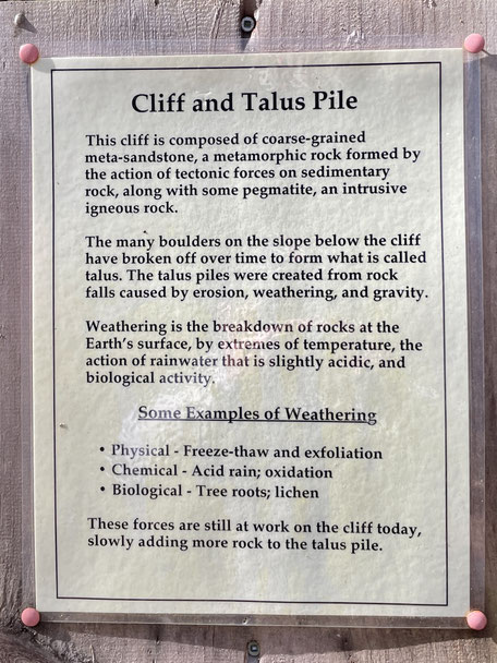 This outcrop consists of a rock cliff with a talus slope (or pile) below. The talus formed through the combined effects of erosion, weathering, and gravity acting on the cliff’s rocks.