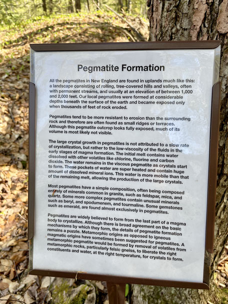 This outcrop is actually a dome of pegmatite, the same type of rock found at Stop 8. This outcrop is still intact and has not been disturbed by mining, unlike the previous pegmatite outcrop.