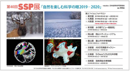 2019-2020 第40回SSP展DMハガキ