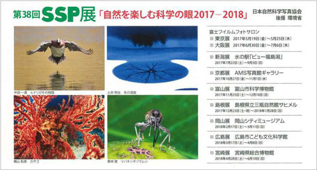 2017-2018 第38回SSP展DMハガキ