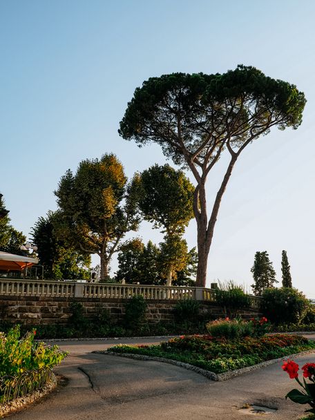 Beautiful park close to Piazzale Michelangelo