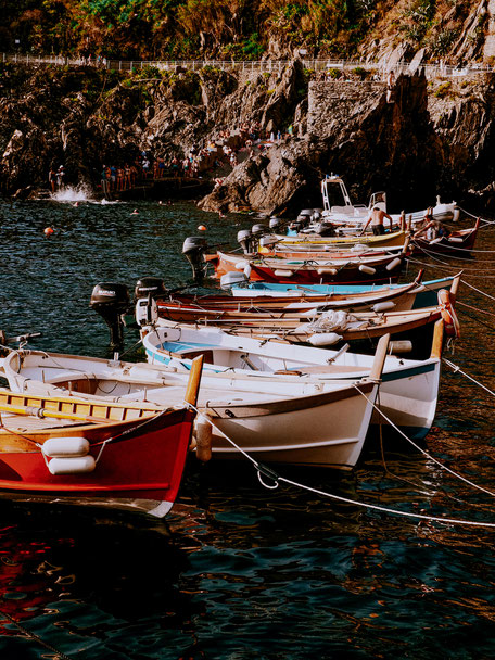 Cute little canoes