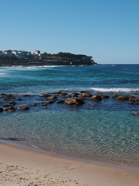 Bondi to Bronte Coastal Walk, Surf, Surfer, Surfers, Bronte Beach