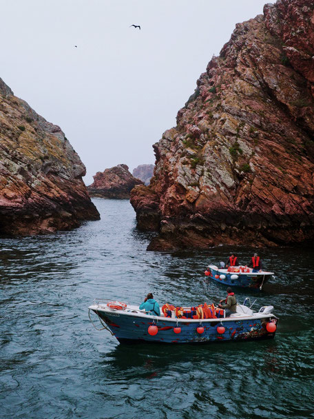Berlenga, Berlenga Island, Portugal