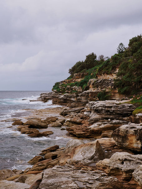 Bondi to Bronte Coastal Walk, Bondi Beach, Surf, Surfer, Surfers, Tamarama Beach