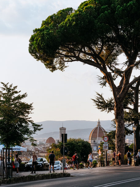 Typical Italian trees!