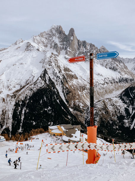 La Flégère, Mont-Blanc Natural Resort in Chamonix (French Alps, Alpes françaises)