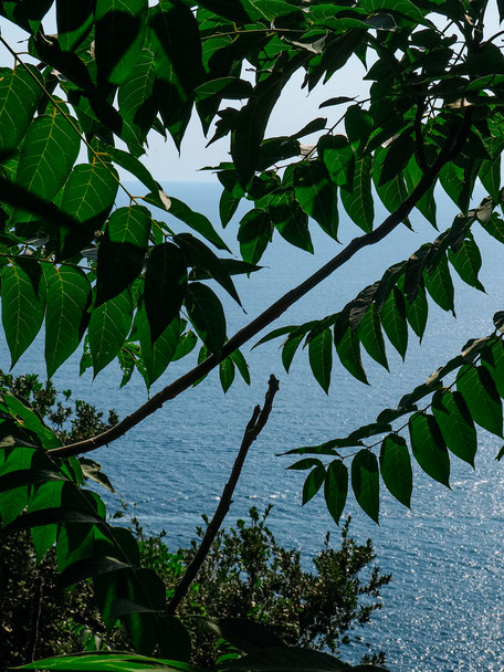 Hiking offers spectacular views on the sea