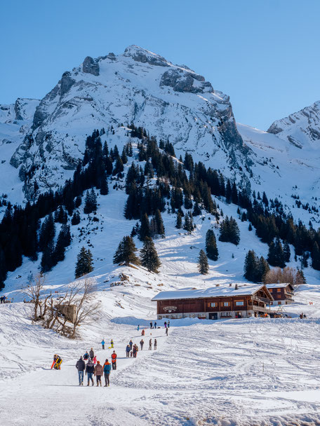 Chèvrerie des Confins, Les Confins, Lac des Confins, La Clusaz, Aravis massif, Massif des Aravis, Haute-Savoie, France, Alpes, French Alps, Mountains, Montagnes
