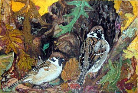 2010 : Sparrows the Call -  Gouache on paper