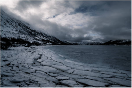 Arctic Winter