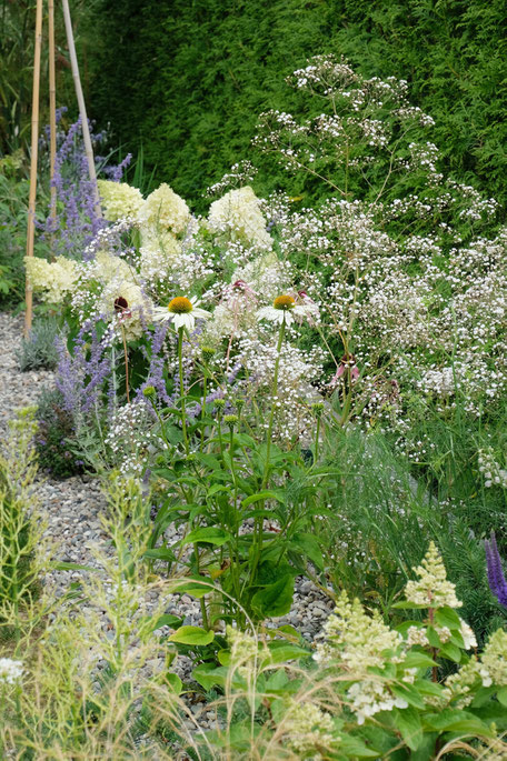 dieartigeGARDEN - Blau-Weißes Kiesbeet / Gravel garden in blue-white