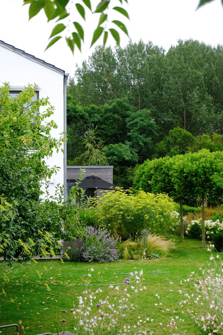 dieartigeGARDEN - Kiesbeet am Haus + Platanenreihe / gravel bed + plane tree rows