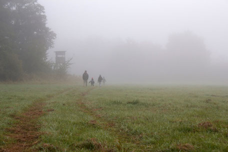 dieartigeBLOG - Morgennebel auf der Wiese
