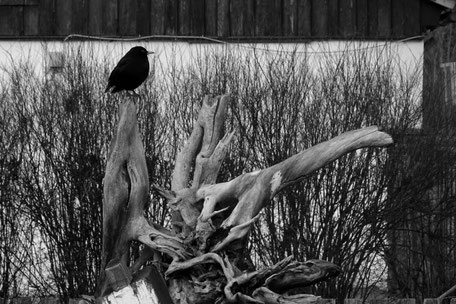 © Matthias Schumann