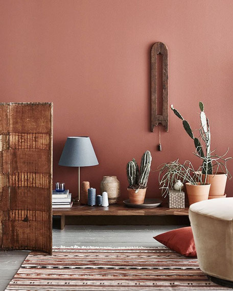 salon terracotta cactus
