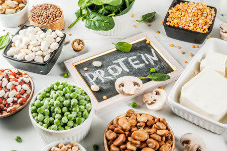 Pflanzliche und tierische Eiweißquellen