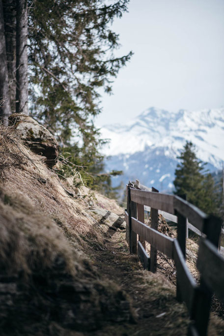 Wandertipp Tirol, Trins im Gschnitztal, ein Seitental des Wipptal: Rundwanderung zur Aussichtsplattform Adlerblick und Sarnthein Wasserfall, ein Ausflugsziel für die ganze Familie