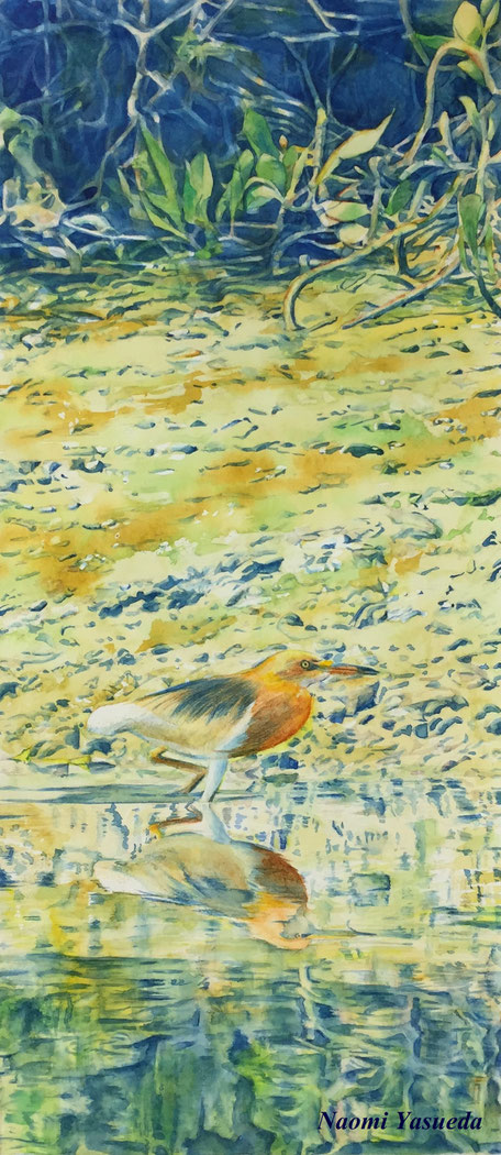 水彩画 干潟(2019年制作) 水彩画 干潟(2019年制作) 水彩画 干潟(2019年制作)