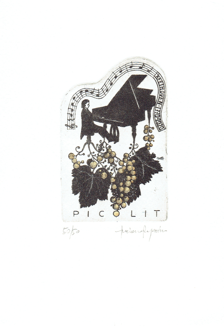 acquaforte originale acquarellata di Luciano Ragozzino