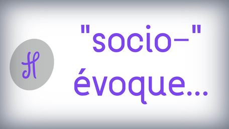 "socio-" évoque...