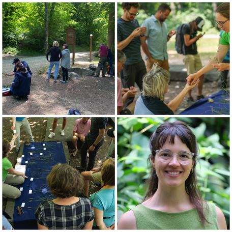 Grundkurs Feldbotanik, Repetition Pflanzen, Exkursionsort, Gruppe