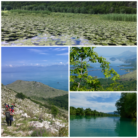 Landschaft Montenegro, Wanderwege, Exkursion, Gruppe, See, Aussicht