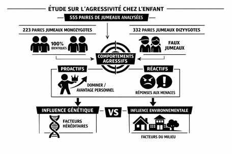 Étude sur l'agressivité chez l'enfant