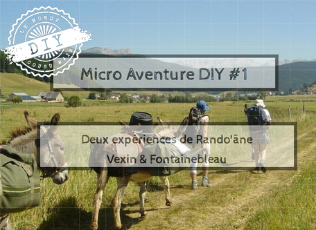 Guide micro-aventure- Randonnée âne-Vexin-Fontainebleau