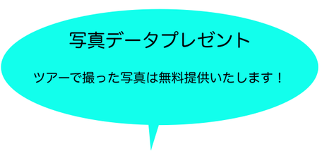 ラフティング　おすすめ　写真データプレゼント。ツアーで撮った写真は無料提供いたします！