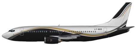 Aircraft Type: Boeing 737-300