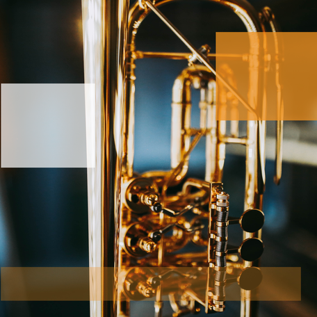 Doppelhorn Ricco Kühn W293X