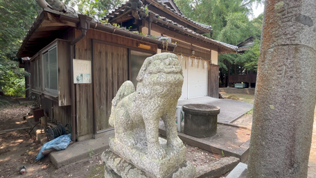 行橋・今井熊野神社 狛犬(吽形)