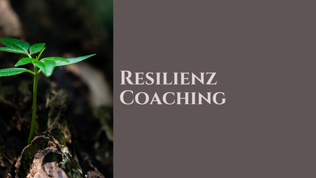 Resilient Training, boden, pflanze